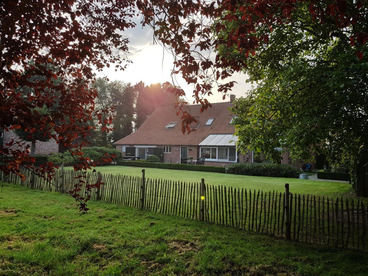 B&B Bergenhof Hoogstraten Extérieur photo